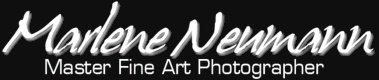 Marlene Neumann logo